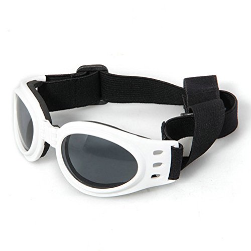 Occhiali da sole goggles elastico montatura bianca...