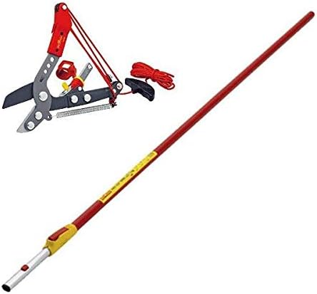 Wolf-Garten Adjustable Anvil Tree Loppers RCVM Garden & ZMV4 Telescopic Handle