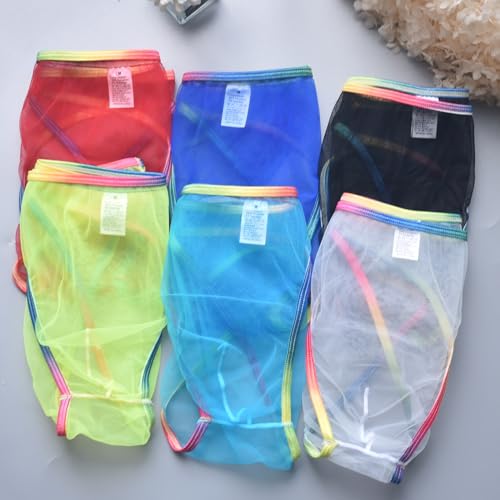 Evankin Sexy Men's Brief Underwear Mesh See Through Underpants Low Rise U-shaped Pouch Fun Underwear Colorful3