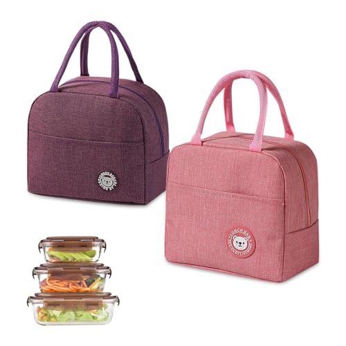 LNSYSNS 2 Piezas Bolso Termico Comida Trabajo