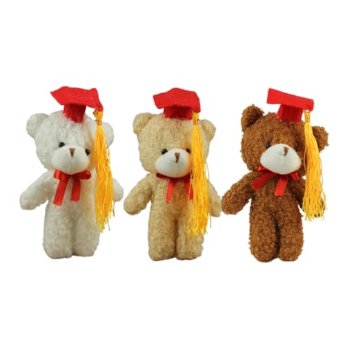 Alipis Lot De 3 Porte-clés En Peluche Docteur Ours Avec Capuchon Pour Fête De Remise De Diplôme Idéal Pour Le Lycée Et Luniversité
