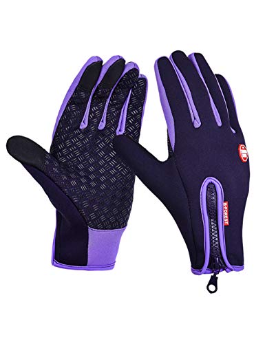 Legou(bRE) O[u AEghA oCN h X}z^b`plΉ p[v M