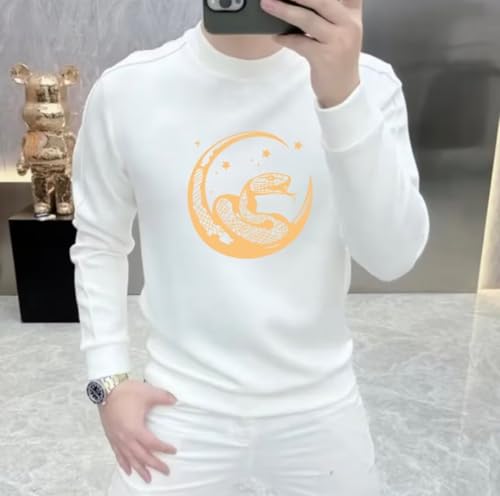 2025 snake year round neck sweater men's autumn and winter New Year long sleeve top trendy clothing2