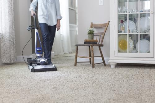 Kirby 204814 Micron Magic HEPA-Filter Plus Beutel, Polypropy, Weiss/opulenter Garten, 6, 6.