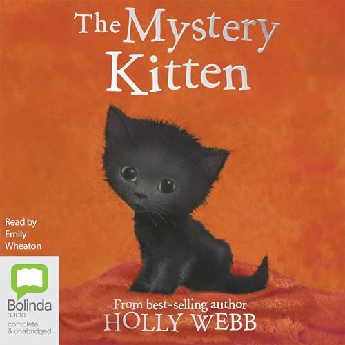 Holly Webb's The Mystery Kitten episode artwork