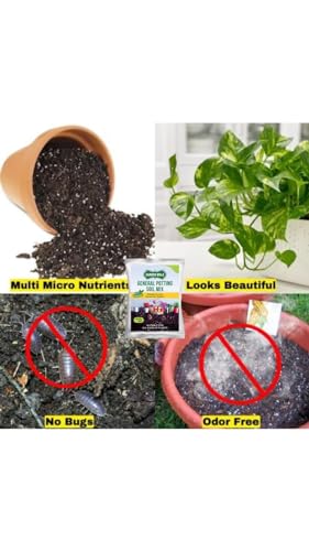 Image of 10 kg Genaral potting soil Ready to use All Purpose Potting Soil Mix | Made with vermicompost /Neem Cake /Mustard Cake Powder /Cocopeat /River Sand /Bone Meal /Rice Husk