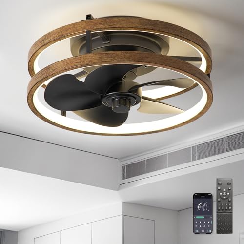 Zoruny 13 Inchs Small Ceiling Fans with Lights with Remote