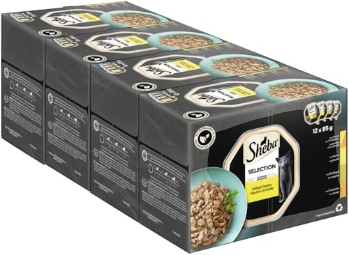SHEBA Selection Schale Multipack Geflügel Variation in Sauce 4X12x85g 1