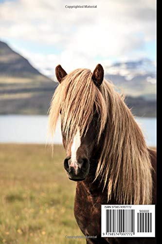 Icelandic Horse Notebook For Horse Lovers: Composition Notebook 6x9" Blank Lined Journal - Image 2