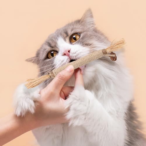 Bagentry 6 Pack Silvervine Sticks for Cats Chewers, Natural Cat Chew Stick, Interactive Kitten Chew Playthings, Silver Vine Chew Sticks for Indoor Kitty Nip Teeth Cleaning Dental Care Biting (6)