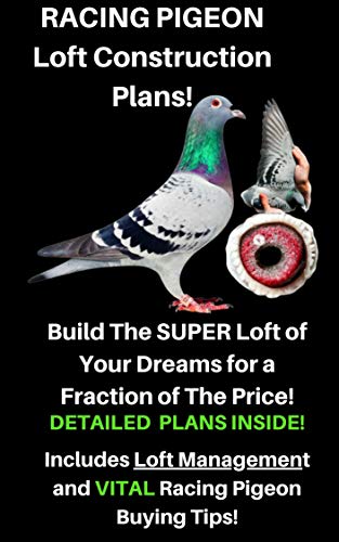 Télécharger Racing Pigeon Loft Construction Plans: Pigeon Avairy (English Edition) Livre eBook France