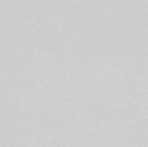 Rasch Tapete 479447 - Hellgraue Vliestapete mit körniger Struktur - 10,05m x 0,53m (LxB)
