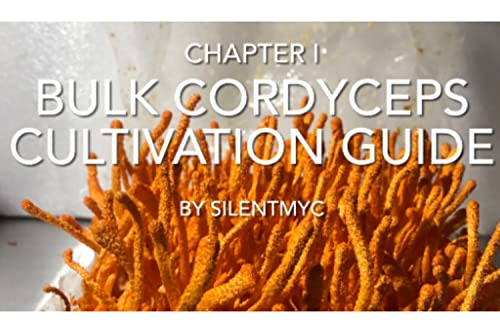 Chapter 1: Bulk Cordyceps Cultivation Guide by SilentMyc : Trayle...