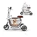 AA100 Scooter Elettrico a 3 Ruote, Auto elettrica Pieghevole/Portatile/disattivato all'aperto per Adulti motorino ricreativa con Gabbia dell'animale Domestico 48V13A / 45 km la Durata della Batteria