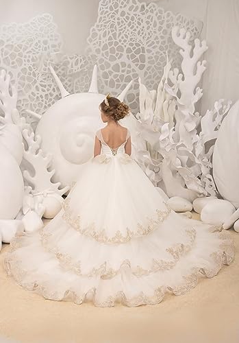 Lovely Flower Girl Dress Tulle lace Applique Princess Pageant Ball Gown with Train4