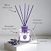 BEHAZEER Juniper Lavender Reed Diffuser, 6.77OZ/200ML Large Capacity Natural Non-Toxic Oil, Long-Lasting Fragrance Reed Diffusers Set for Home and Bathroom, Aroma with 5 Reed Diffuser Sticks