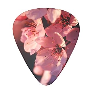 Médiators en celluloïd coloré pour guitare basse, amateurs de musique, guitares, électriques et acoustiques avec fleurs roses de 0,46 mm, 0,71 mm, 0,96 mm - Les Beatles, Paul McCartney, John Lennon, RIngo Starr, George Harrison