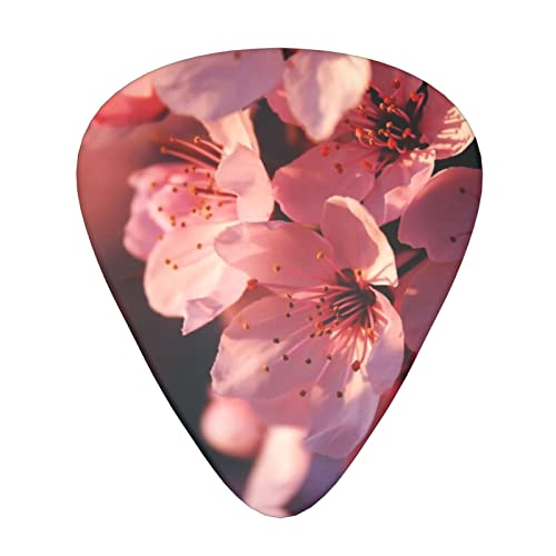Médiators en celluloïd coloré pour guitare basse, amateurs de musique, guitares, électriques et acoustiques avec fleurs roses de 0,46 mm, 0,71 mm, 0,96 mm - Les Beatles, Paul McCartney, John Lennon, RIngo Starr, George Harrison Médiators en celluloïd coloré pour guitare basse, amateurs de musique, guitares, électriques et acoustiques avec fleurs roses de 0,46 mm, 0,71 mm, 0,96 mm