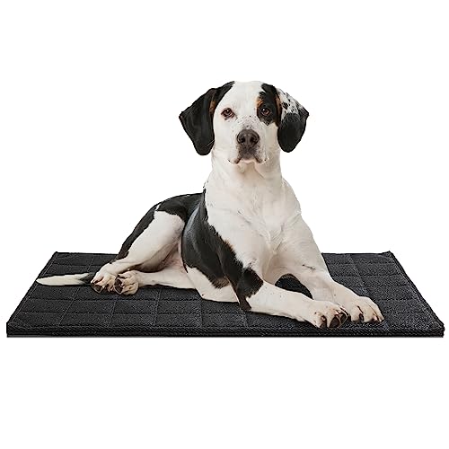 Protect Your Pup's Crate The Ultimate Guide to Chew Proof Dog Beds