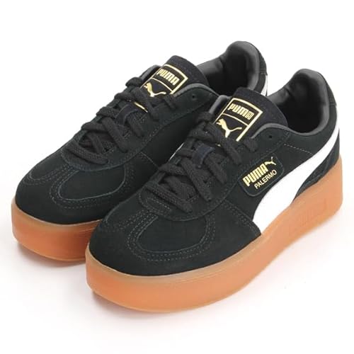 [v[}] Xj[J[ fB[X 25NtăJ[ ubN/K(01) 22.0 cm