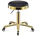 ZXZXZX Tabouret à roulettes Pivotant à 360° Ronde en Acier Inoxydable Doré Réglage en Hauteur 45-58cm Tabouret de Travail Tabouret Coiffure Bureau avec 5 Roues Coussin d'assise 33cm