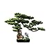 YUXI8541NO Künstlicher Bonsai Baum Simulation Welcome Kiefer Bonsai Ornamente Indoor Künstliche Topfpflanzen Home Office Bücherregal Wohnzimmer Dekoration Gefälschte Blume Pflanze künstlicher Baum