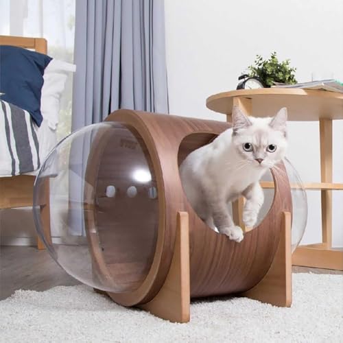 FD LnEX ybgpxbh h[ uΉ LbgnEX Ƌ Lbgxbh ؐ Lp ybg JvZ^ lRnEX IV lGʗp  ʂ݃pbht Lpxbh h[ ؐƋ LpB ʂ݃pb