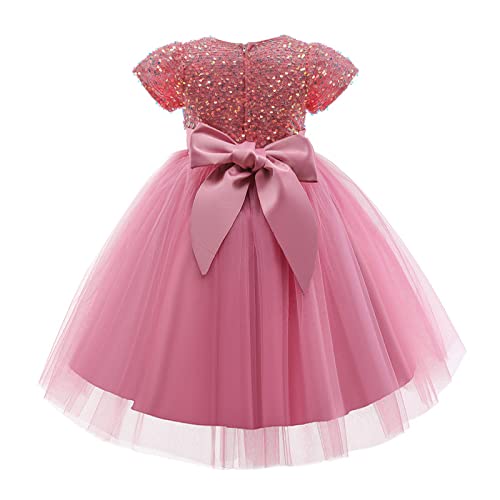 Ttyaovo Flower Girl Tulle Birthday Party Princess Tutu Sequins Dress Ball Gown 737_C Pink Size (120) 4-5 Years #TOP1