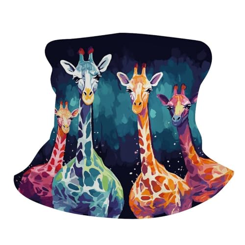 Neck Gaiter Face Mask Men Women, Compass Wind Road Map Face Mask Scart Cover for Dust Wind Sun Protection