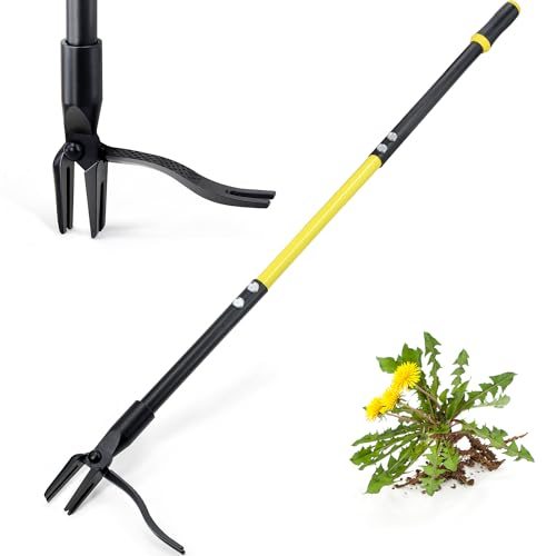 Weed Remover The 15 best products compared