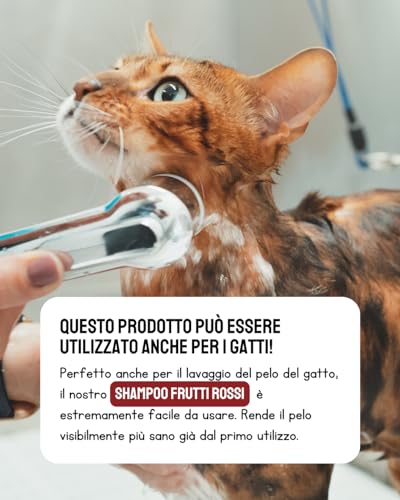 Jojoba Hundeshampoo Rote Früchte, Konzentrat, antiallergisch, weich und hell, pflegendes Shampoo, sanftes Shampoo, ideal für Hunde, kurzes Fell und langes Haar, 250 ml (Duft rote Früchte)