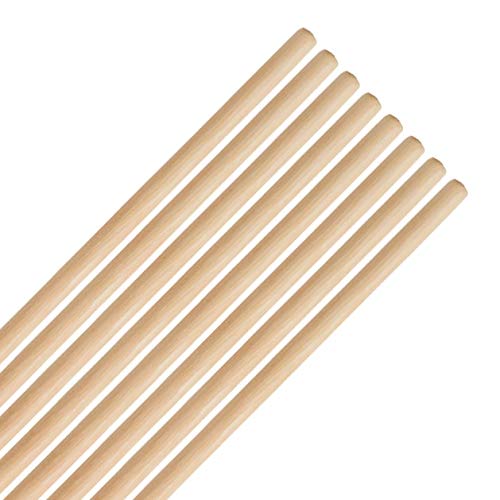 Innovative Innlsld Timbale miniatura 3