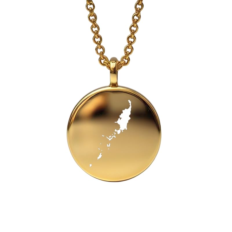 Pendentif carte des Palaos en argent sterling plaqué or 14 carats, forme ronde de 24 mm et épaisseur de 1,5 mm, breloque Terre, bijou de voyage délicat | Médaillon gravé Aventure | LKB_MAP_535