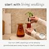Lettuce Grow Counterstand Hydroponics Growing System Kit with LED Light, Indoor Gardening System for Herbs and Greens, Compact Hydroponic Countertop Planter Set #3