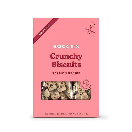 Bocce's Bakery Oven Baked Salmon Recipe Treats for Dogs, Wheat-Free Dog Treats, Made with Real Ingredients, Baked in The USA, All-Natural Salmon, Sweet Potato & Parsley Biscuits, 14 oz