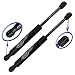 Two Rear Glass Window Gas Charged Lift Supports for 2003-2010 Porsche Cayenne. Left and Right Side. WGS-660-2