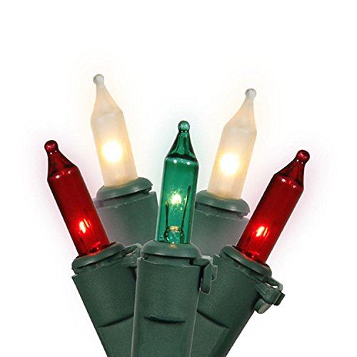 NorthLight Red Clear Frosted And Green Mini Christmas Lights44; Green Wire44; Set Of 100