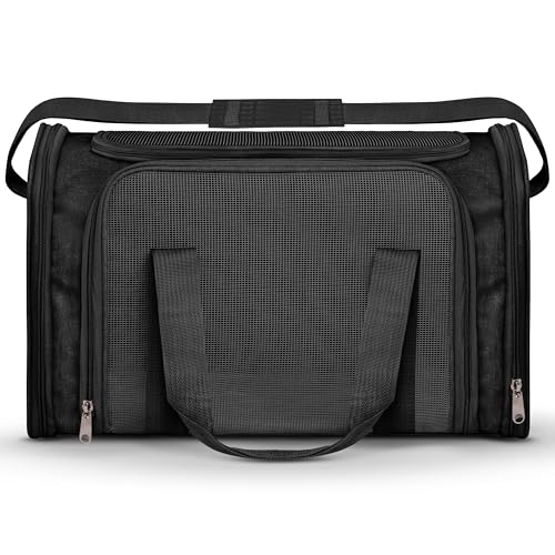 Airline Approved Medium Pet Carrier for Cats & Dogs – Foldable Dog Bag with Soft Mat, Breathable Mesh Windows, Travel-Ready Cat Carrier (Up to 15 lbs, Black)