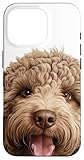 Cane cucciolo di razza Lagotto Romagnolo - Dogs