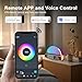 ANYPLUS White Noise Sound Machine, Sunrise Alarm Clock APP/AI Voice Control Work for Bedroom, Sound Machine for Sleep with Touch Night Light, Sleep Aid, Snooze Timer, Dual Alarms, Sunrise Simulation
