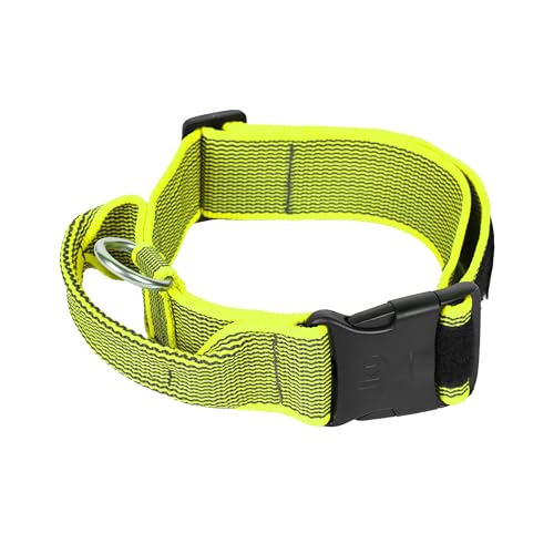 Julius-K9 Collare Color & Gray con Manico richiudibile, Chiusura di Sicurezza ed Adesivi intercambiabili, 50 mm (49-70 cm), Neon-Grigio