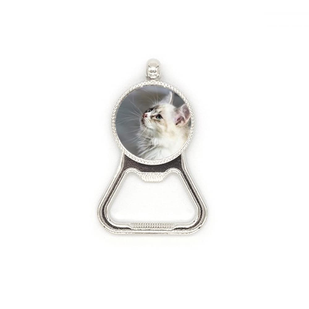 Décapsuleur chat acier inoxydable résistant blanc pour vos soirées