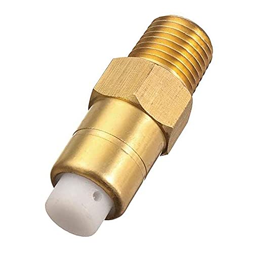 SuKeYuan 1/4 Inch Brass Thermal Release Safety Relief Valve Temperature Control Valve for Pressure Washer Water Pump