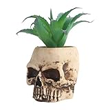 . Macetas de jardín --- las macetas pequeñas de interior se pueden utilizar con flores secas, flores de seda, plantas en maceta, etc. Y también se puede utilizar con pequeñas macetas decorativas externas.