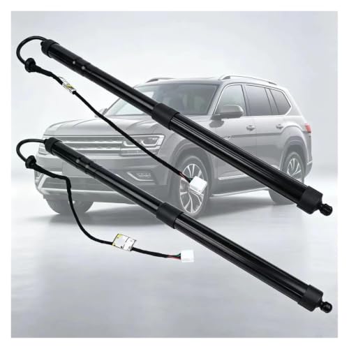Vérins à gaz robustes pour support de levage électrique BMW X4 - 6