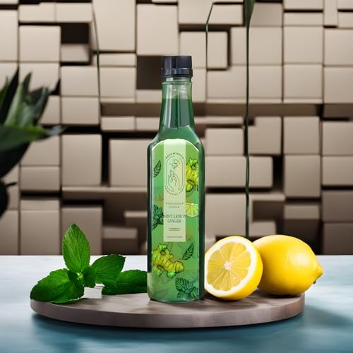 Image of Rosa Mystica Mint Squash| Natural Refreshing Mint Lemon Ginger Squash, No Added Color - 1 ltr