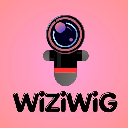 Couverture de Wiziwig