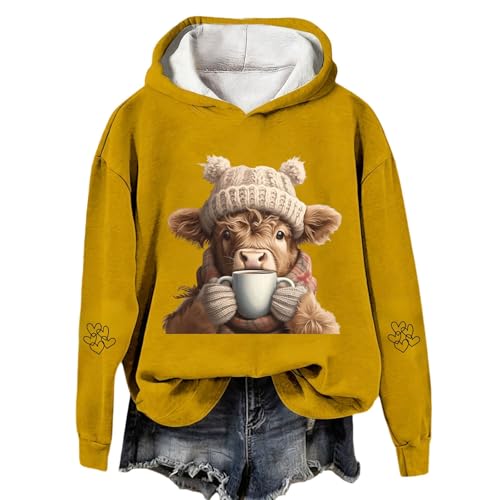 Pull sweatshirt ample decontracte ideal pour les journees cocooning A48