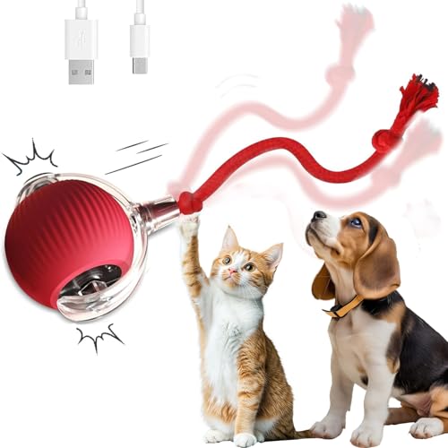Brinquedos para gatos interativos para gatos em ambientes internos com tapete de movimento rápido ca