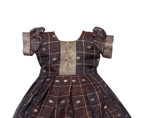 Image of PW PLATYPUS WORLD Baby Girls Ethnic Frock Dress for Kids| Traditional Festive Birthday Outfit | Baby Girls Lehenga Choli